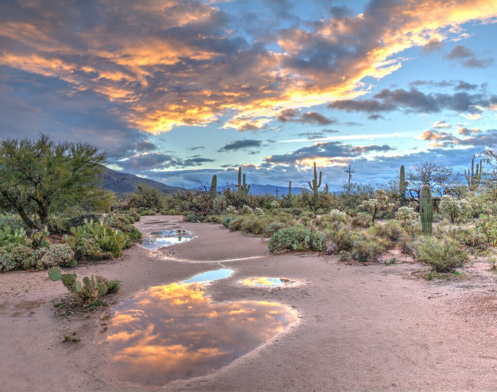 damn creek in arizona desert under pink sunset skeis